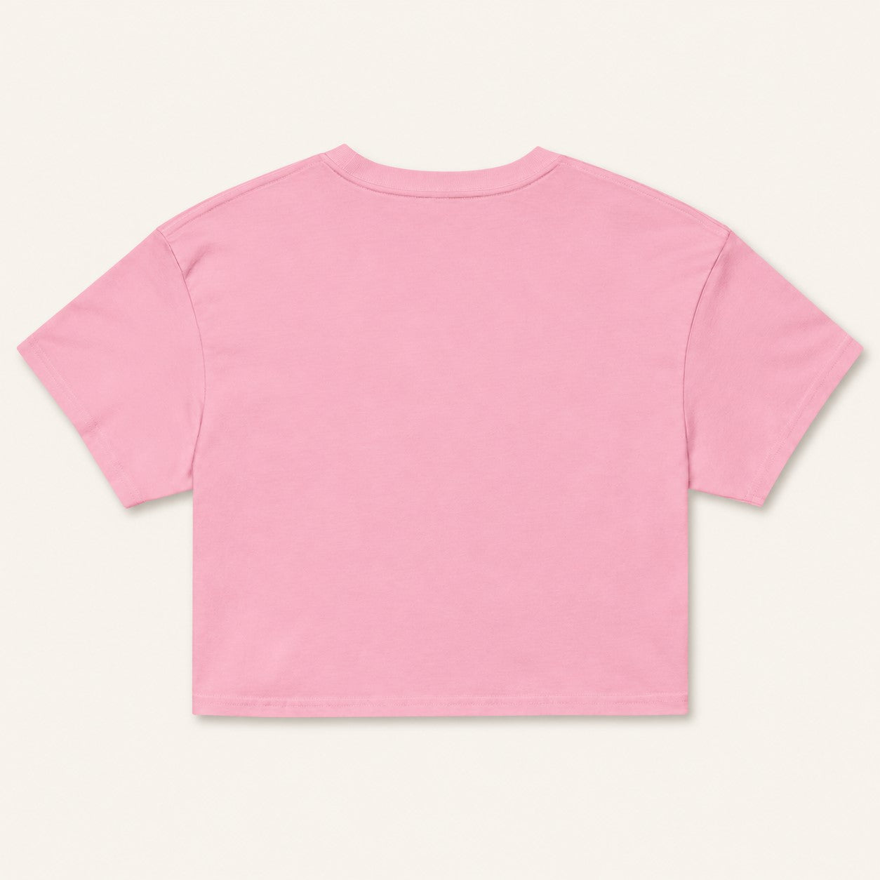 Beach Reads Crop Top